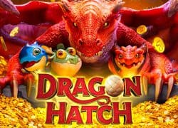 Dragon Hatch Casinia Casino Game
