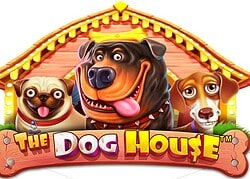 Dog House Casinia Casino Game